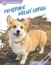 Capa do artigo Pembroke Welsh Corgis