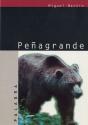 Peñagrande - Preview