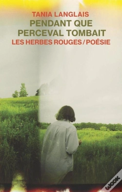 Capa do artigo Pendant Que Perceval Tombait