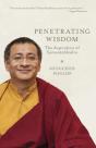Penetrating Wisdom - Preview