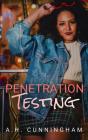 Penetration Testing - Preview