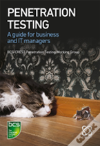 Penetration Testing