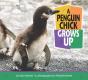 Penguin Chick Grows Up - Preview