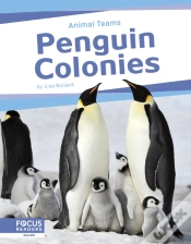 Capa do artigo Penguin Colonies