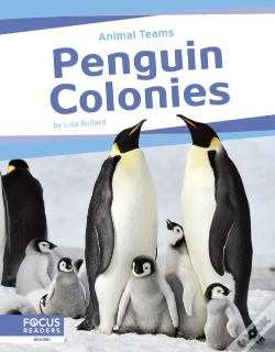 Capa do artigo Penguin Colonies