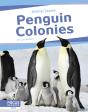 Penguin Colonies - Preview