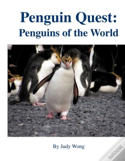 Capa do artigo Penguin Quest