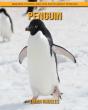 Penguin - Preview