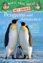 Penguins And Antarctica - Preview