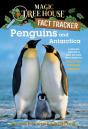 Penguins And Antarctica - Preview