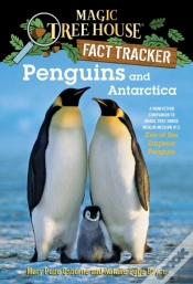 Capa do artigo Penguins And Antarctica