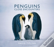 Capa do artigo Penguins