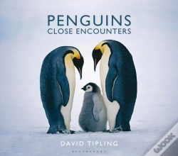 Capa do artigo Penguins