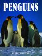 Penguins - Preview