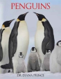 Penguins - Preview