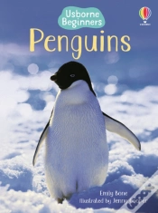 Capa do artigo Penguins