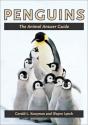 Penguins - Preview