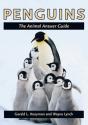 Penguins - Preview