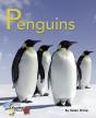 Penguins - Preview