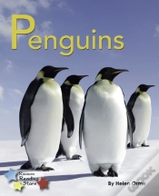 Capa do artigo Penguins