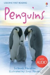 Capa do artigo Penguins