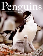 Penguins