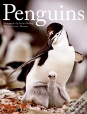 Capa do artigo Penguins