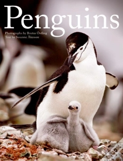 Capa do artigo Penguins