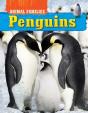 Penguins - Preview