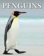 Penguins - Preview