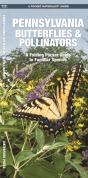 Pennsylvania Butterflies & Pollinators - Preview