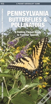Capa do artigo Pennsylvania Butterflies & Pollinators