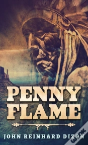 Capa do artigo Penny Flame