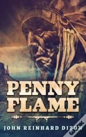 Capa do artigo Penny Flame