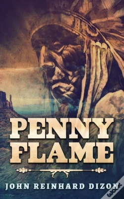Capa do artigo Penny Flame