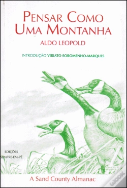 Capa do artigo Pensar Como Uma Montanha