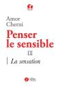 Penser Le Sensible Tome 3 ; La Sensation - Preview