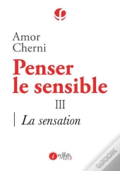 Penser Le Sensible Tome 3 ; La Sensation