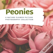 Capa do artigo Peonies