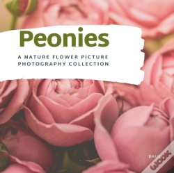 Capa do artigo Peonies