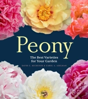 Capa do artigo Peony