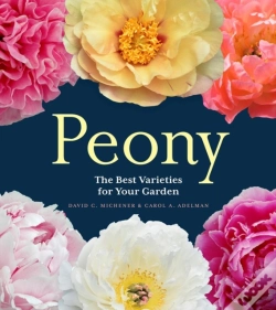 Capa do artigo Peony