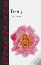 Capa do artigo Peony