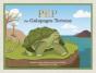 Pep The Galapagos Tortoise - Preview