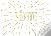 Capa do artigo Pépite