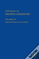 Peptide Solvation And H-Bonds