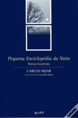 Capa do artigo Pequena Enciclopédia da Noite