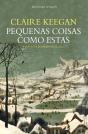 Pequenas Coisas como Estas - Preview