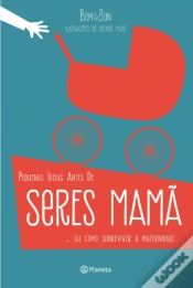 Capa do artigo Pequenas Ideias Antes de Seres Mamã
