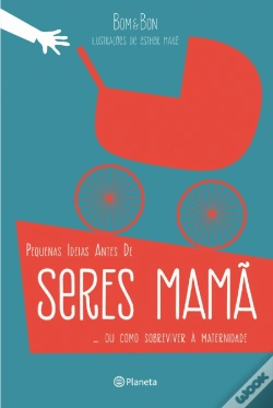 Capa do artigo Pequenas Ideias Antes de Seres Mamã